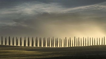 Momen Kebahagiaan oleh Alberto Fornasari Foto: reFocus Color Photography Awards