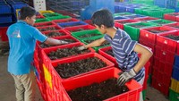 TPST yang kini masih dalam uji coba tersebut mampu mengolah sampah menggunakan teknologi modern menjadi pakan ternak maggot, pupuk kompos, dan batako, sementara Pemerintah Kota Mataram menargetkan TPST ini bisa berdampak positif terhadap efisiensi anggaran operasional pembuangan sampah hingga Rp 2 miliar per tahun.