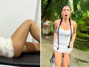 Turis Aussie Digigit Monyet, Monkey Forest Bingung Tak Ada Laporan