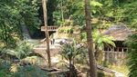 Cuaca Panas Begini, Emang Cocok Berenang di Curug Cipeuteuy Majalengka