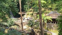 Curug Cipeuteuy dilihat dari tangga batu