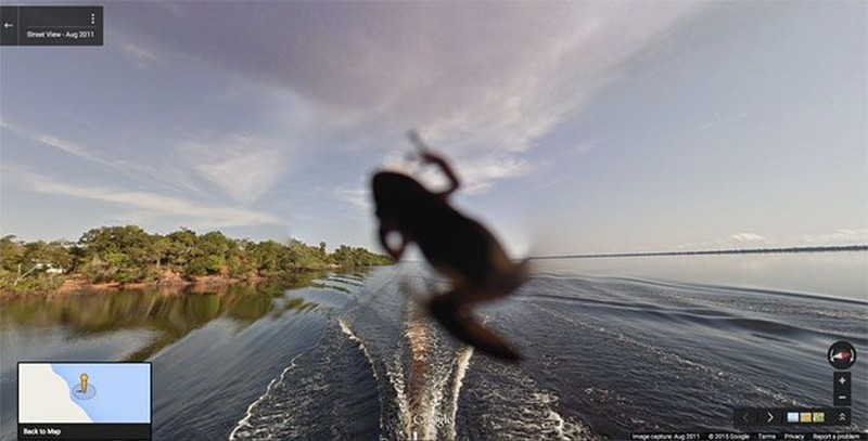 Aksi Kocak Hewan yang Terekam Kamera Google Street