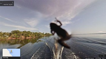Katak yang menempel di bagian kamera. Foto: Boredpanda