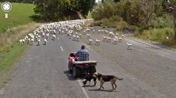 Ini dia penyebab kemacetan jalan.  Foto: Boredpanda