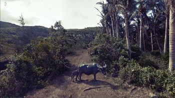 Dilarang masuk. Foto: Boredpanda