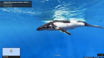 Kamera Google Street View sempat mengabadikan paus. Foto: Boredpanda