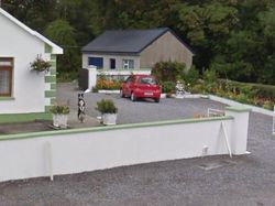 Aksi Kocak Hewan yang Terekam Kamera Google Street