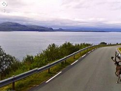 Aksi Kocak Hewan yang Terekam Kamera Google Street