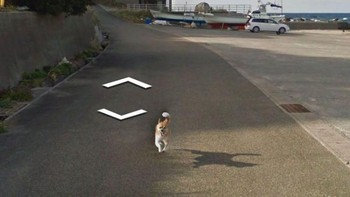 Anjingnya mengejar mobil Google Street View. Foto: Boredpanda