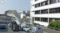 Aksi Kocak Hewan yang Terekam Kamera Google Street