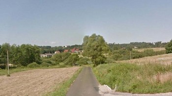 Wow, tinggi sekali kelinci ini melompat. Foto: Boredpanda