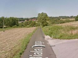 Aksi Kocak Hewan yang Terekam Kamera Google Street