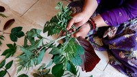 Sesuai dengan namanya, Batik buatan warga Kota Batu ini memiliki motif beragam tanaman herbal. Seperti kunyit, jahe hingga kunir.