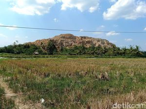 Guru Besar UPN Jogja Soroti Aktivitas Pengeprasan Perbukitan Godean