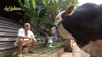 Untuk menjalin ikatan batin dan emosional, Irfan Hakim suka mengajak bicara Janoko dan memperlakukannya dengan penuh kasih sayang. Foto: dok. Chanel YouTube deHakims