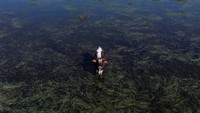 Banjir ini disebabkan oleh hujan deras yang mengguyur.
