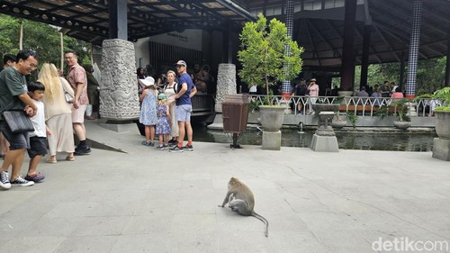 Objek wisata Monkey Forest di Ubud, Bali.