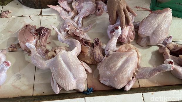 Sepuluh hari menjelang Idul Adha 2024, harga sejumlah sembako di Kota Palembang mengalami penurunan. Salah satunya harga ayam potong yang saat ini Rp 30.000 per kilogram.