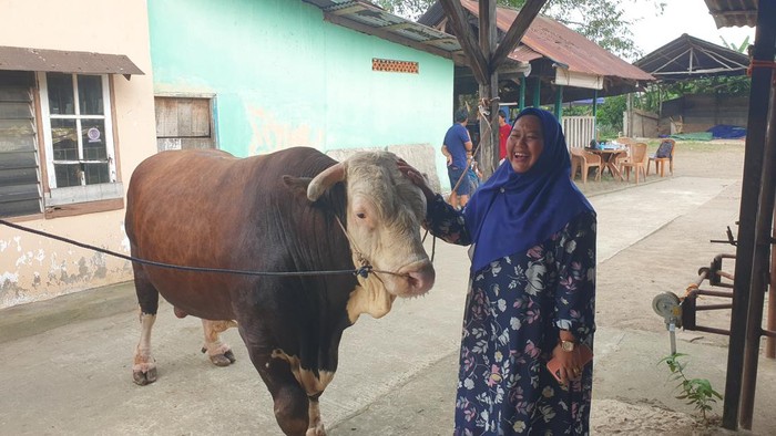 Sapi kurban Presiden Jokowi untuk di Sumsel.