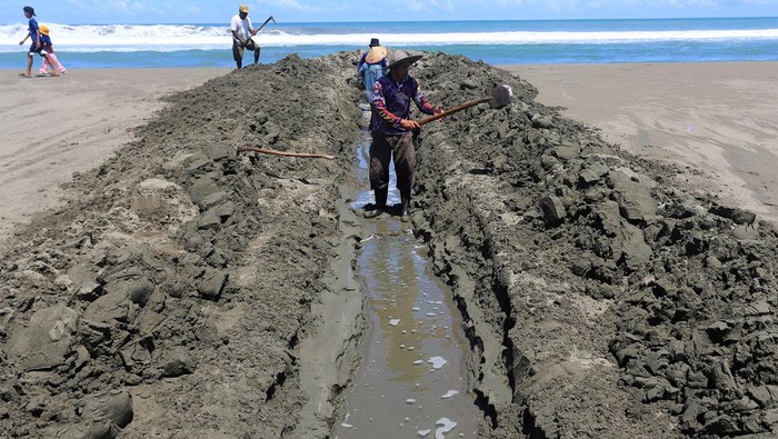 Sejumlah warga melakukan pengerukan endapan pasir dan pembukaan muara sungai di Desa Suak Raya, Johan Pahlawan, Aceh Barat, Aceh, Minggu (9/6/2024). Pengerukan muara sungai yang tertutup akibat endapan pasir tersebut dilakukan warga sebagai upaya mengantisipasi terjadinya banjir yang merendam puluhan hektar lahan pertanian di kawasan itu. ANTARA FOTO/Syifa Yulinnas/YU