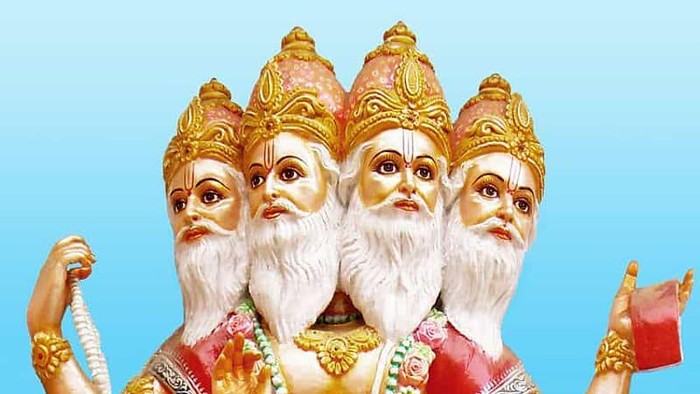 Drewa Brahma. (pxfuel.com)