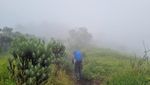 Menikmati Syahdunya Pendakian Merbabu Kala Diguyur Hujan