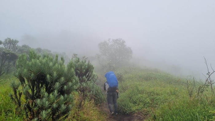 Indahnya panorama Gunung Merbabu pada Sabtu (25/5/2024).