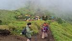 Menikmati Syahdunya Pendakian Merbabu Kala Diguyur Hujan