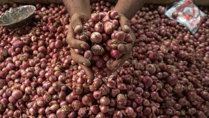 Pedagang memperlihatkan bawang merah yang dijual di Pasar Al-Mahirah, Banda Aceh, Aceh, Sabtu (8/6/2024). Menurut pedagang harga bawang merah dalam sepekan terakhir cenderung turun menjadi Rp45.000 per kilogram dari sebelumnya Rp55.000 hingga 60.000 per kilogram, karena persediaan bawang merah di Aceh melimpah menjelang hari raya Idul Adha 1445 H. ANTARA FOTO/Khalis Surry/nym.