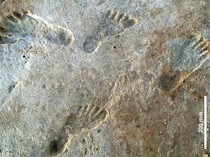 Kisah Jejak Kaki Kecil di Pinggir Danau dari 23.000 Tahun Lalu, Ternyata...