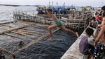 Keceriaan Anak-anak Cilincing Mandi di Laut
