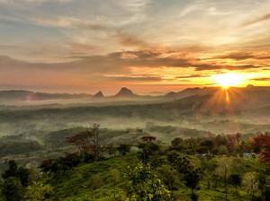 6 Tempat Wisata Wajib di Bojonegoro Buat Liburan Bareng Keluarga