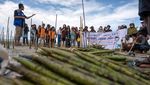 Penanaman Mangrove untuk Antisipasi Abrasi di Pulau Pangalasiang