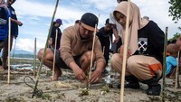 Sejumlah warga dan pelajar menanam mangrove di pesisir pantai Pulau Pangalasiang, Donggala, Sulawesi Tengah, Sabtu (8/6/2024).