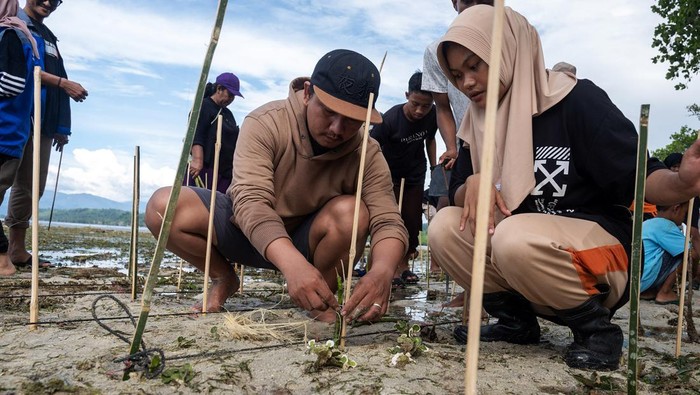 Direktur Yayasan Rumah Bahari Gemilang (Rubalang) Moh. Tofan Saputra (kiri) memberikan pengarahan kepada warga sebelum penanaman mangrove di pesisir pantai Pulau Pangalasiang, Donggala, Sulawesi Tengah, Sabtu (8/6/2024). Kegiatan tersebut diinisiasi mahasiswa magang program Kemendikbudristek Merdeka Belajar Kampus Merdeka (MBKM) bekerja sama dengan PT Amati Karya Indonesia, Yayasan Rubalang, Arkom Palu dan Risma Khoiru Ummah untuk melindungi pulau tersebut dari ancaman abrasi sekaligus memperingati Hari Laut Sedunia. ANTARA FOTO/Basri Marzuki/nym.