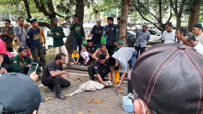 Praktik penyembelihan hewan kurban di Masjid Nur Azizah, Klaten, Minggu (9/6/2024).