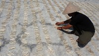 Menjelang Idul Adha, produksi tusuk sate berbahan bambu meningkat dari 5 kuintal menjadi 1,7 ton per minggu.   