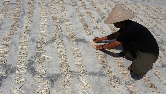 Seorang perajin menjemur tusuk sate di Desa Curahlele, Balung, Jember, Jawa Timur, Sabtu (8/6/2024). Menjelang  Hari Raya Idul Adha 1445 Hijriah produksi tusuk sate berbahan bambu naik dari 5 kuintal menjadi 1,7 ton per minggu dengan harga jual Rp2.500 per 125 batang yang dipasarkan secara daring (online). ANTARA FOTO/Seno/nym.