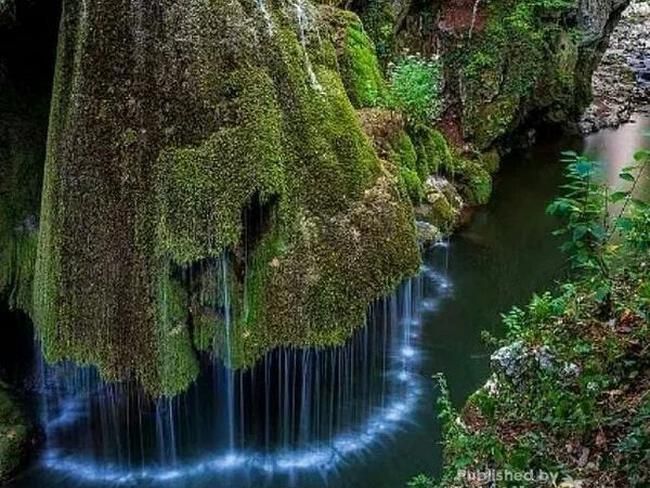https://awsimages.detik.net.id/community/media/visual/2024/06/10/aik-nyet_43.jpeg?w=650
