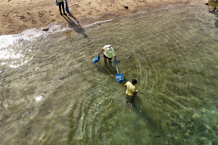 Bersih pantai Labuan Bajo di Hari Laut Sedunia