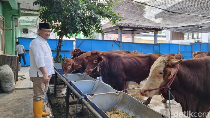 Dirut RPH Surabaya Fajar Arifianto Isnuroho mengecek sapi kurban