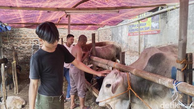 Eswandi (55) sudah 9 tahun menjual hewan kurban di Jakarta menjelang Idul Adha. Jika tidak sedang musim kurban, dia sehari-hari mengurus warteg. (Ammar R/detikcom)