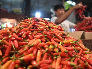 Harga Sembako Jatim 20 November 2024, Cabai Rawit Naik Rp 3 Ribuan