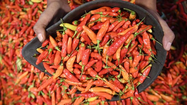 Harga cabai rawit merah melambung menjelang Idul Adha