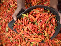 Harga Sembako Jogja Hari Ini 21 April 2025: Cabai Rawit Merah Merosot Tajam!