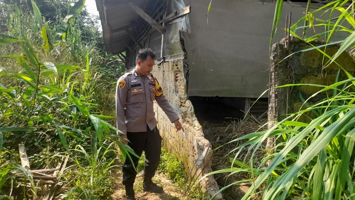 Kandang sapi warga dibobol maling