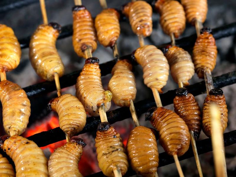 5 Makanan Ekstrem Ini Jarang Diketahui Orang, Dubur Kuda hingga Cacing