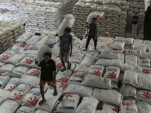 Wanti-wanti Mendagri soal Aksi Borong Beras Cakada Picu Kelangkaan Beras