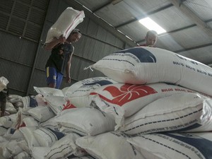 Stok Beras di Sumsel Babel Capai 54.280 Ton, Aman hingga Maret 2025