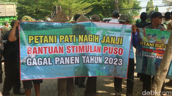 Petani menggelar aksi di depan Kantor BPBD Pati menuntut bantuan puso tahun 2023 dicairkan, Senin (10/6/2024).